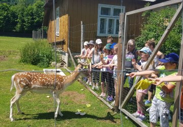 Wycieczka do dziecięcego ZOO