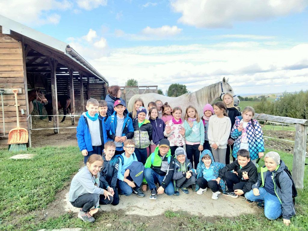 Lekcje w terenie - wycieczka do stajni ,,Indiana”