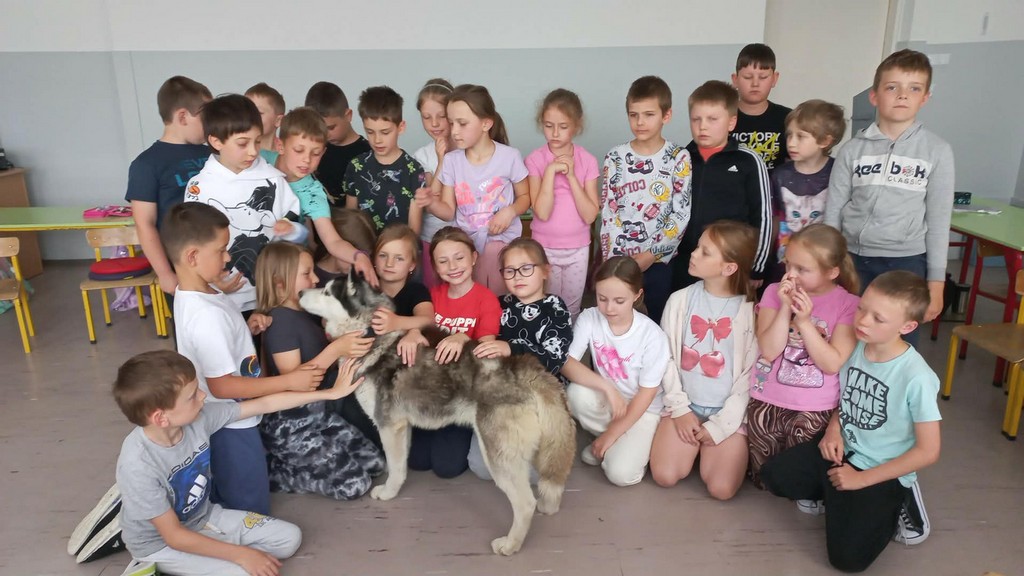 Czy pies może ugryźć?