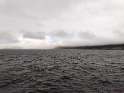 IMG_20260704_173158044.jpg