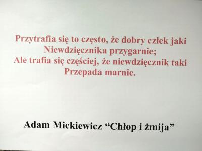 bd962330-5ddb-49be-b4c3-57712ee322e6.jpg